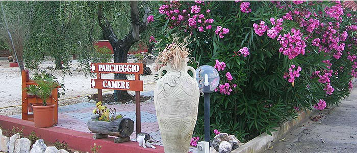 Uliveto del Gargano - Vieste - Foto 6